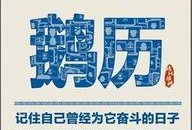 营销号最新爆料文案范文,爆款文案背后的秘密大公开！