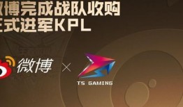 最新战队爆料消息新闻视频,揭秘神秘新闻视频背后的真相