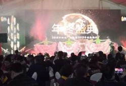 年会爆料视频大全最新,精彩瞬间回顾，年度盛宴精彩重现