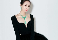 黑天鹅娱乐爆料,揭秘娱乐圈不为人知的惊天秘密