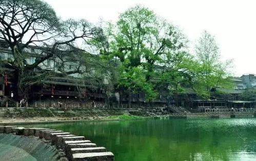 娱乐吃瓜酱四川眉山,眉山美食之旅