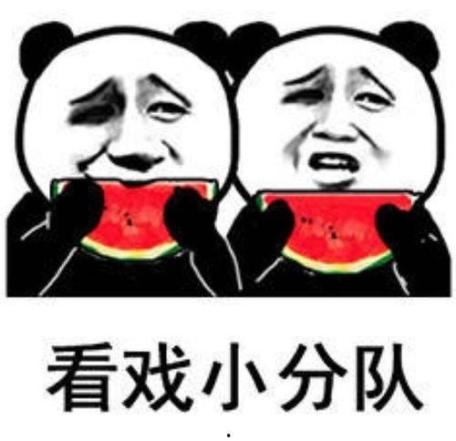 吃瓜表情包啥意思