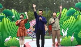 张小宴最新爆料新闻视频,揭秘娱乐圈惊人内幕