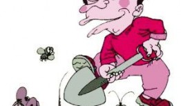 跳蚤在线观看,一场惊心动魄的冒险之旅