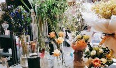娱乐吃瓜酱花店,吃瓜酱花店背后的秘密花园