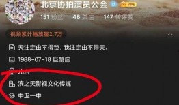 心态被爆料视频,揭秘视频背后的真实心态与情感波动