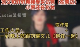 文轩节目爆料最新视频,揭秘幕后真相，精彩瞬间不容错过