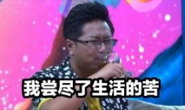 大叔爆料黄琴视频大全下载,黄琴视频大全独家下载攻略