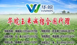 隆平高科最新爆料电话号,电话号码揭秘行业新动态