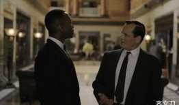 绿皮书演员爆料视频大全,揭秘幕后故事与精彩瞬间