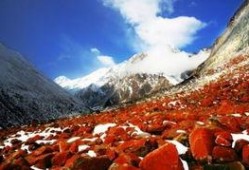 热点爆料视频大山美景