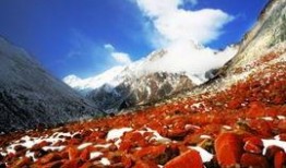 热点爆料视频大山美景