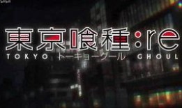 圆梦爆料视频完整版,完整版内容深度解析