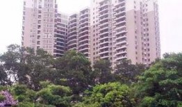 深圳石岩爆料事件最新情况