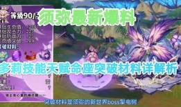 须弥爆料大全攻略视频网,深度解析，带你畅游须弥世界