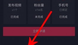 抖音视频爆料箱怎么做,轻松制作热门视频的秘诀