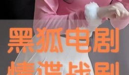 在线观看黑狐,暗影特工的隐秘使命