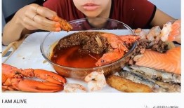 美食网红被爆料视频,揭秘幕后真相