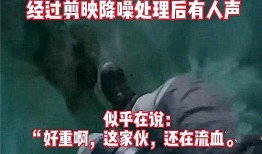 二宁最新爆料事件视频,揭秘事件背后惊人真相