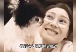 李嘉欣最新爆料视频播放,最新爆料视频背后的惊人真相