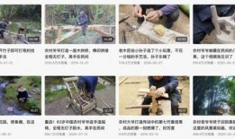 莫提爷爷爆料视频大全集,揭秘不为人知的幕后故事