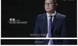 爆料泰国事件视频完整版,真相与争议交织的惊心动魄瞬间