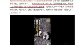 爆料人的故事视频播放时间,视频背后，爆料人讲述真实故事时长背后的秘密