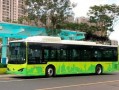 汕头公交爆料事件视频播放,真相与反思