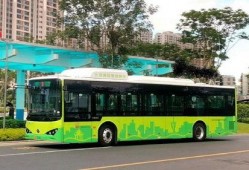 汕头公交爆料事件视频播放,真相与反思