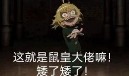 谭雅在线观看,揭秘网络红人的魅力之旅