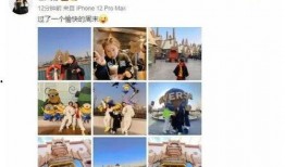 娱乐圈吃瓜爆料的文档,揭秘明星背后的故事