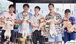 向往的生活5新爆料视频,田园生活新篇章，明星嘉宾惊喜加盟！