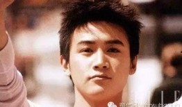 刘烨爆料小鲜肉了吗视频,小鲜肉背后的真实故事