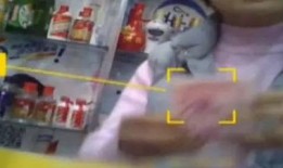 三顾茅厕爆料视频大全最新,揭秘幕后真相与惊人内幕