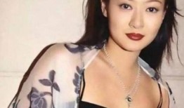 圈内爆料陈宝莲视频完整版,圈内惊人爆料揭秘