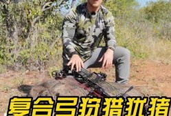 打猎视频在线观看,在线观看打猎视频的惊险之旅