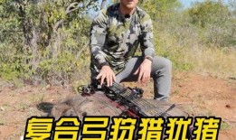 打猎视频在线观看,在线观看打猎视频的惊险之旅