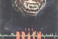 脑魔在线观看,揭秘虚拟现实世界的神秘力量