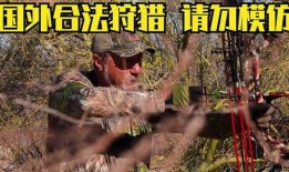 打猎视频在线观看,在线观看打猎视频的惊险之旅