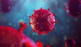 新冠病毒变异最新爆料