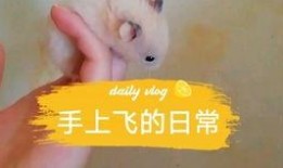 娱乐圈吃瓜背景板,揭秘幕后真相，吃瓜群众背后的故事