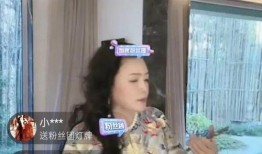 张兰录音爆料大全最新版,揭秘商业帝国背后的真相与争议