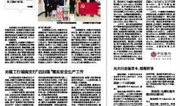 南京近期爆料新闻报道内容,揭秘背后真相，聚焦城市热点事件