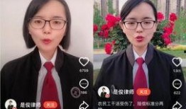 美女律师在线观看,在线揭秘法庭风云