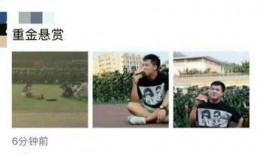 娱乐吃瓜资料来源于哪里,揭秘娱乐圈吃瓜资料的来源与传播