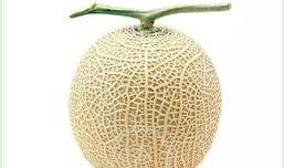 网红吃瓜头像插画是谁