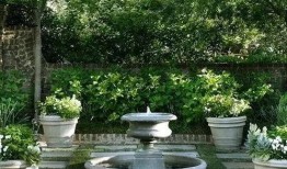 爆料自家小院生活视频,温馨日常温馨瞬间