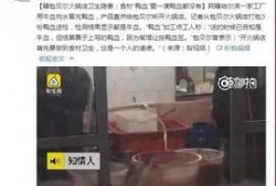 黄磊知乎爆料视频大全,揭秘娱乐圈背后的故事