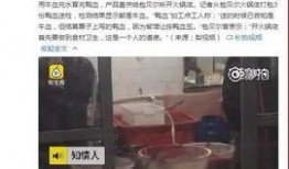 黄磊知乎爆料视频大全,揭秘娱乐圈背后的故事
