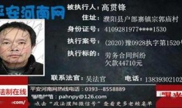 珍品传说2025最新爆料